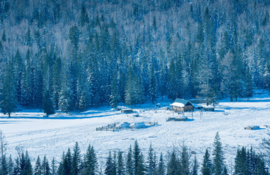 冬季恋歌-喀纳斯12