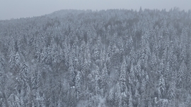 DJI_20241206071005_0075_D