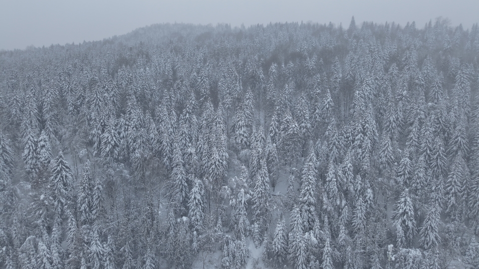 DJI_20241206071005_0075_D