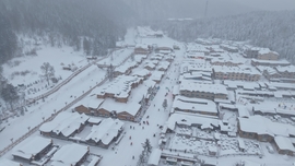 DJI_20241206071336_0080_D