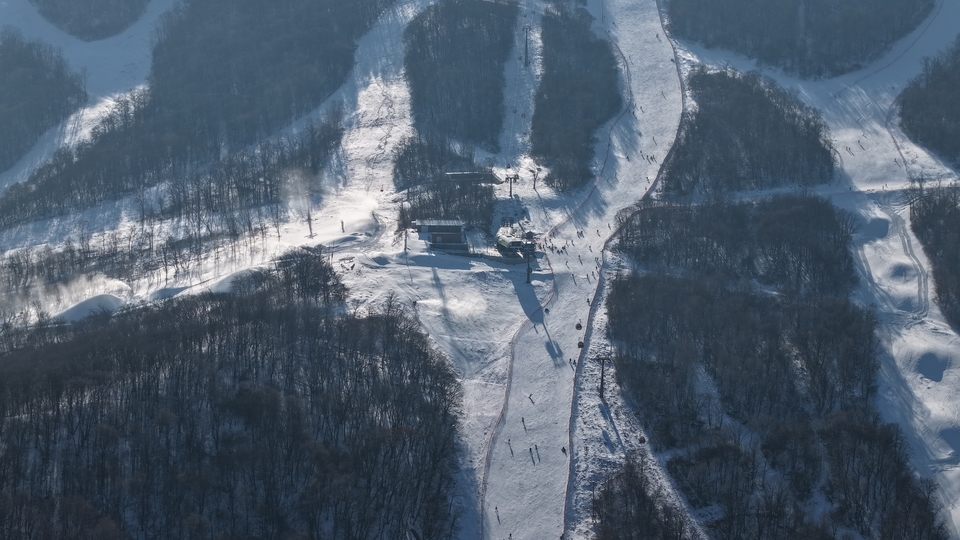 DJI_20241210112545_0224_D