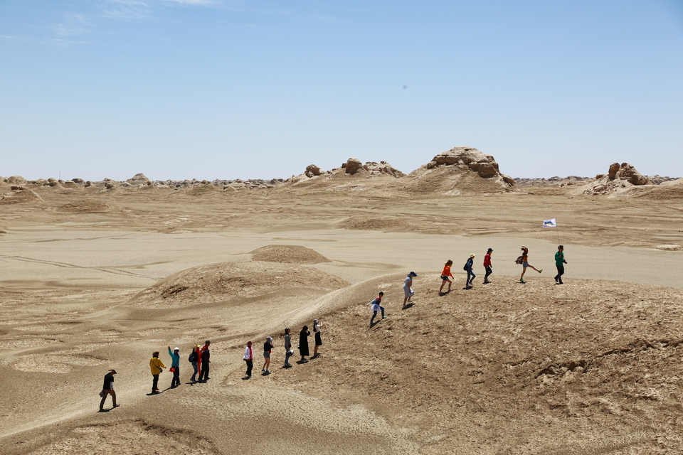 南八仙雅丹 (33)