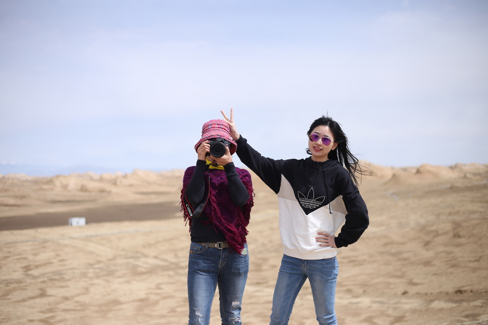 南八仙雅丹 (43)