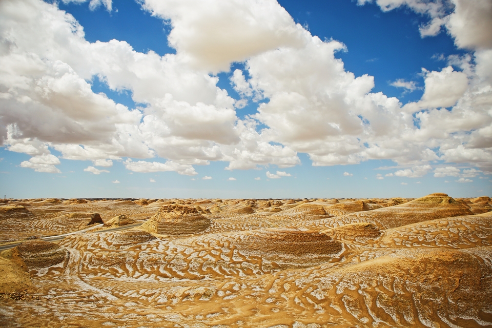 南八仙雅丹 (45)