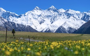 2-6人小团：《伊犁河谷》8天7晚