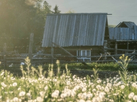 2-6人小团：《北疆牧歌》7天6晚