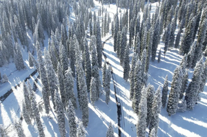 伊宁集散：《去，您的伊犁》6天5晚