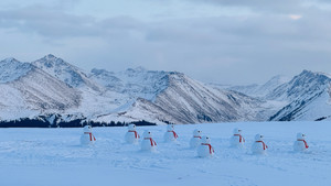 越野车：《去，您的伊犁》7 天 6 晚