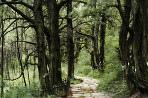 人文徒步：《千年古蜀道》5天4晚