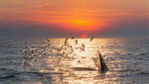 《博物志·北海追鲸》6天5晚