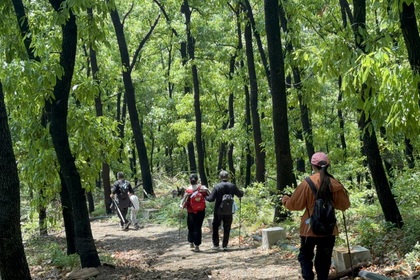 4月25日（周六）天然氧吧~药乡国家森林公园-锦绣谷徒步穿越 