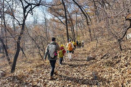 12月7日（周日）绚彩の秋：天然氧吧~药乡国家森林公园-锦绣谷徒步穿越