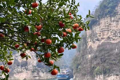 【三峡自驾】2月4日-2月8日 一江碧水，两岸青山。追寻李杜诗篇盛景，深度领略三峡风光，打卡神农架。