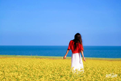 【子龙出品】青甘自驾｜6月20日-29日青海湖、敦煌、祁连山、翡翠湖、茶卡盐湖、鸣沙山月牙泉，张掖丹霞山