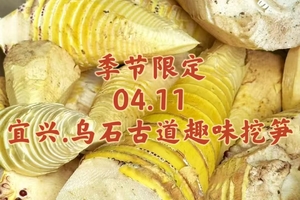 {季节限定}04.11〖宜兴·乌石古道+趣味挖笋〗轻徒乌石古道小环线｜攀爬乌石浪奇观｜农家竹林趣味挖笋