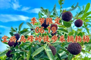 {季节限定}06.19〖宜兴·乌峰岭+采摘杨梅〗踏千年古道赴满山酸甜｜峡谷溯溪踩水｜荸荠杨梅现摘现吃
