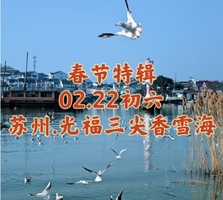 {季节限定}02.22（年初六）〖苏州·光福三尖+香雪海赏梅〗登光福三尖｜看太湖美景｜乾隆六赴赏梅踏春地