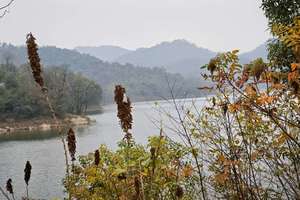 【黑石•登山】12月4日（周四）溜进象鼻窝的秋日童话，当一天的山野“隐形人”