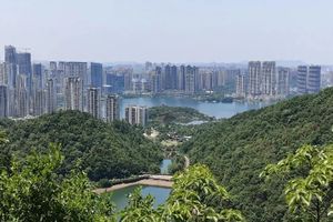 【黑石户外•亲子】1月3日（周六）元旦假期小尾巴，带娃闯进桃花岭的“山野盲盒”