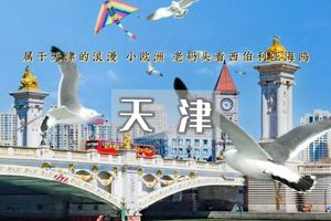 天津•老码头海鸥の打卡意风区-五大道-古文化街-瓷房子-摩天轮（休闲）