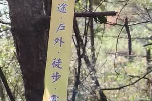 兔兔们开辟新线路啦