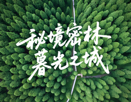 天然氧吧 中坝森林