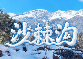 平武沙棘沟 看冰瀑