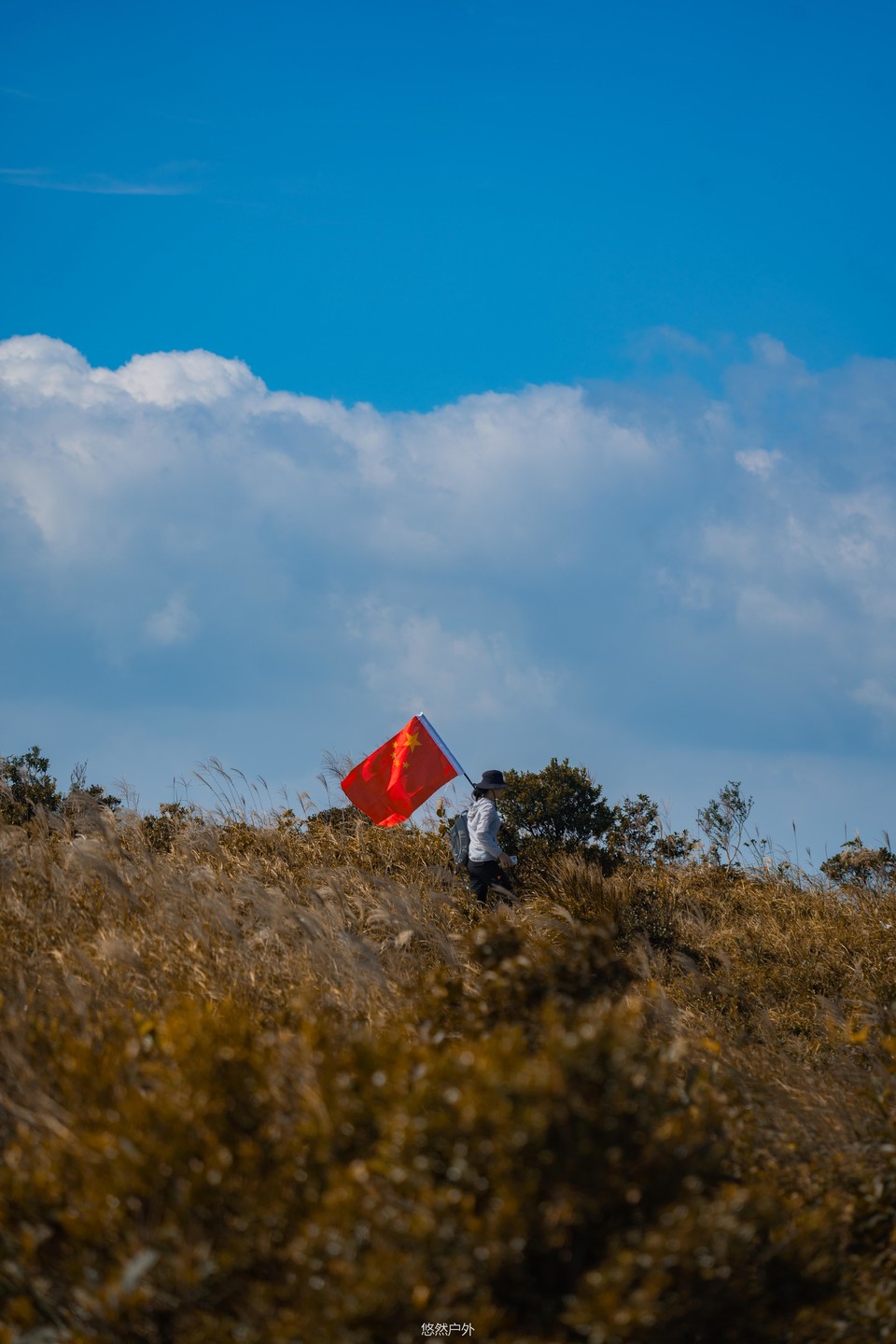 9097a165270e149ccdc142fc9abe5a1d