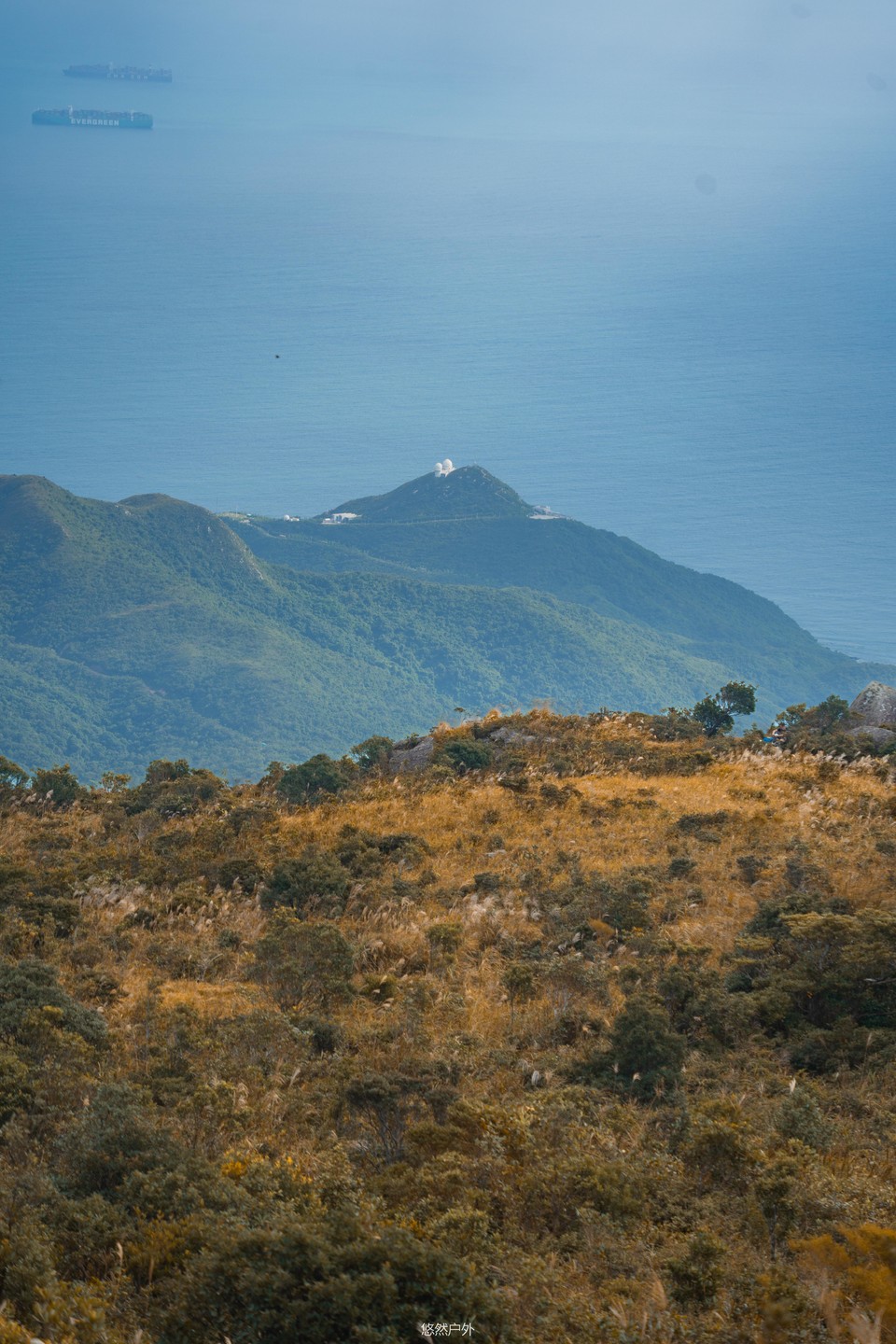 a3f5802a18b67c73f0e40d0c5acf03ce