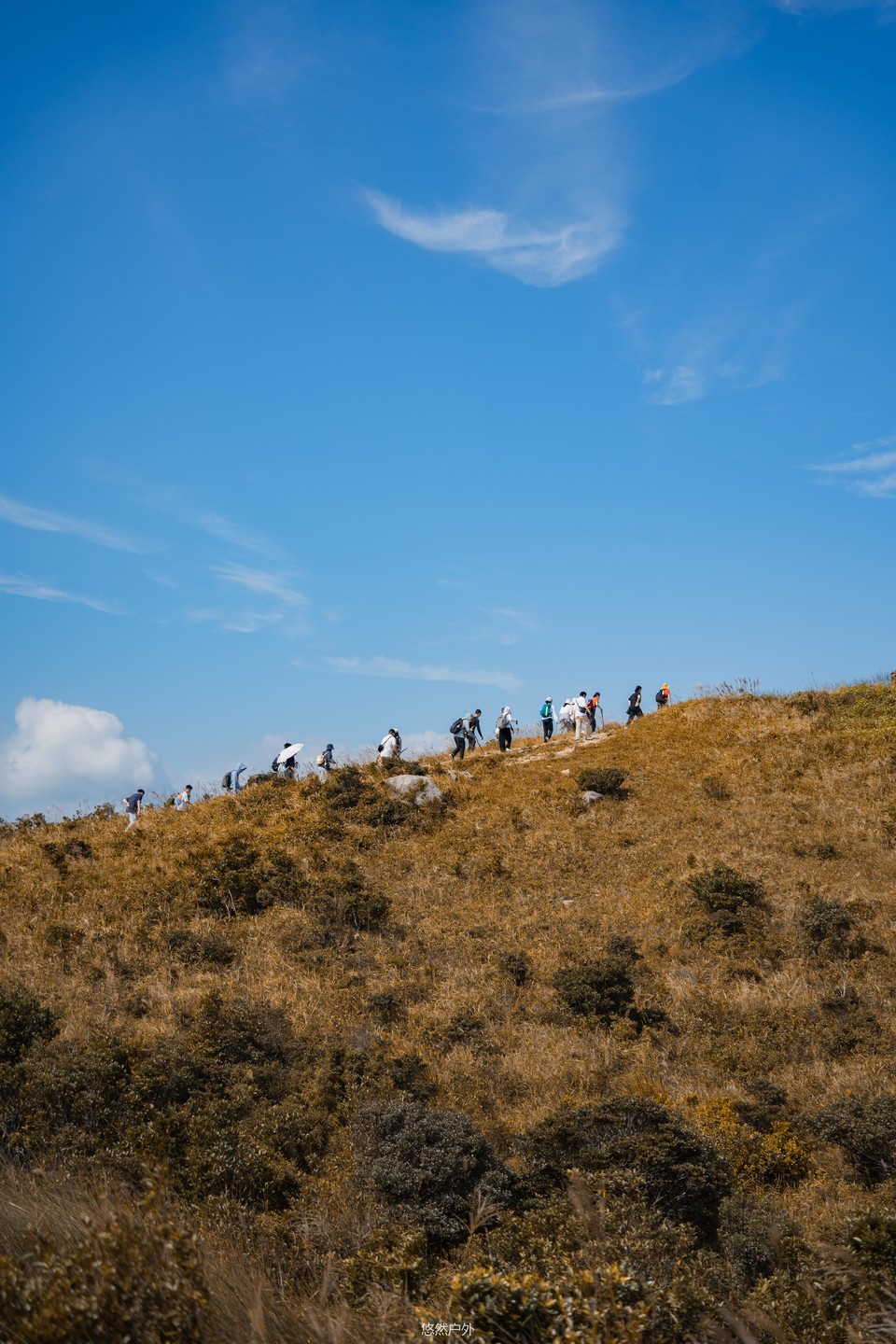 d33747424819527b53cb30423645c3c2