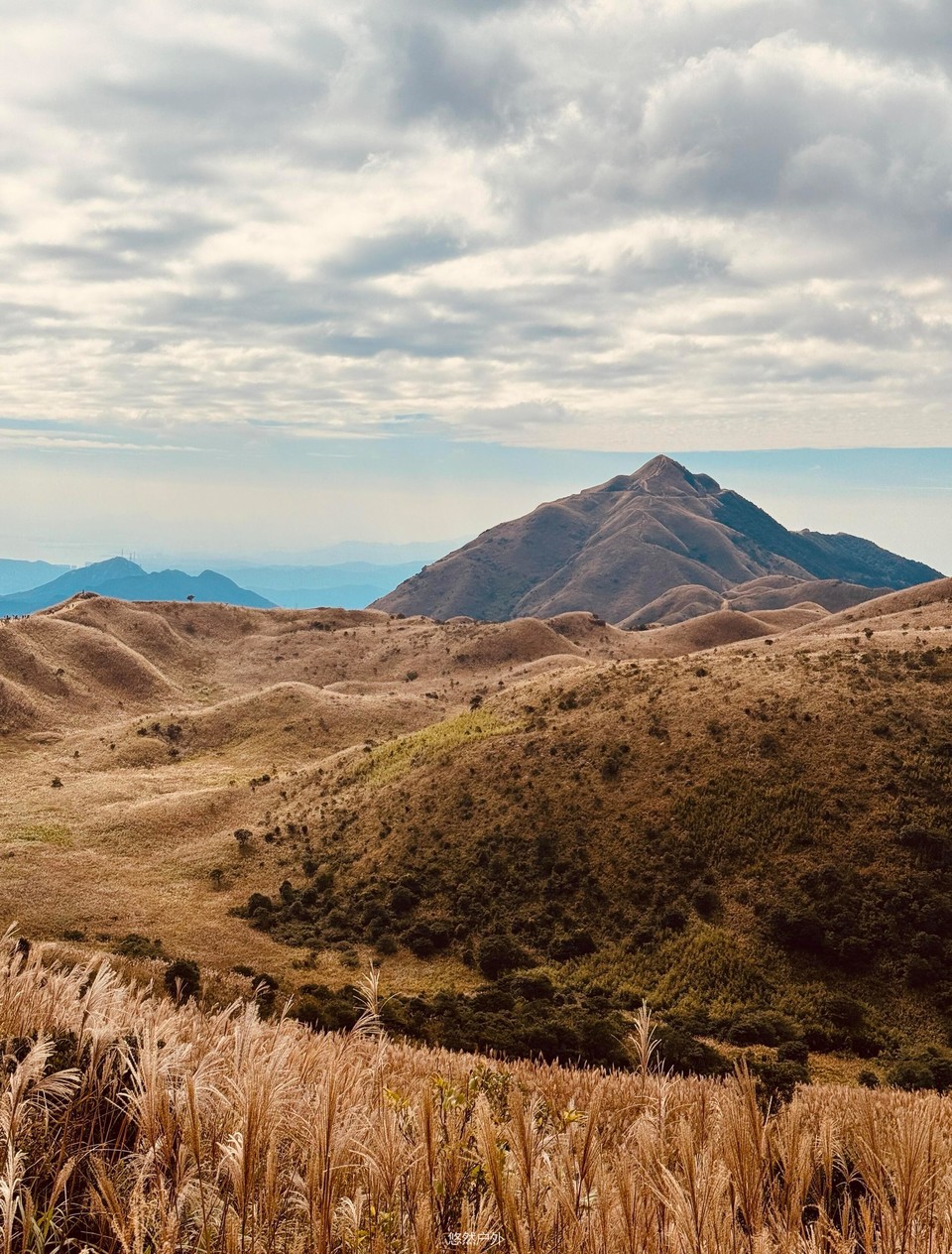 微信图片_20251208180210_101_4