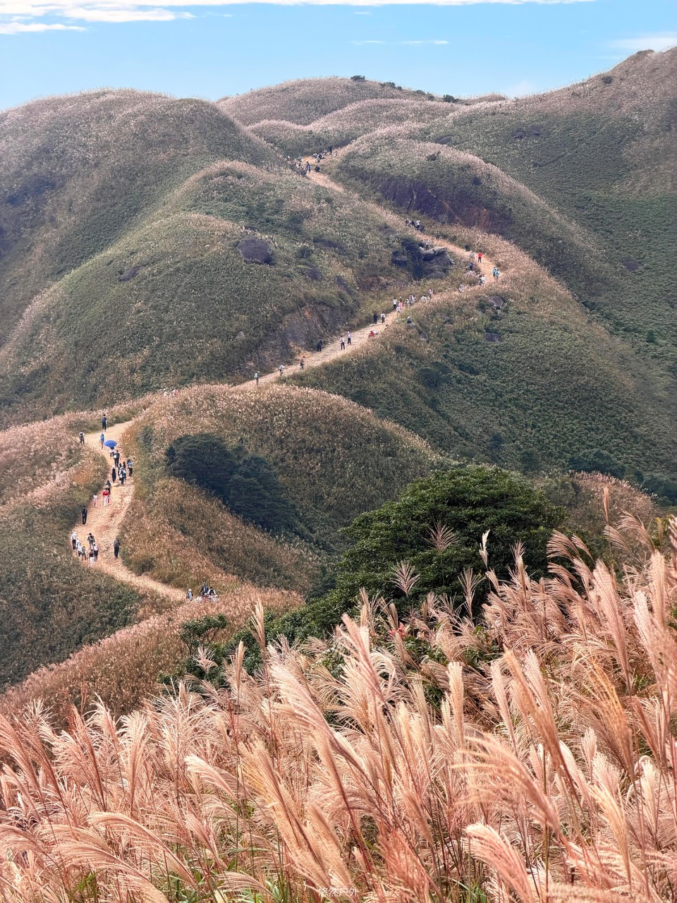 微信图片_20251208180212_102_4