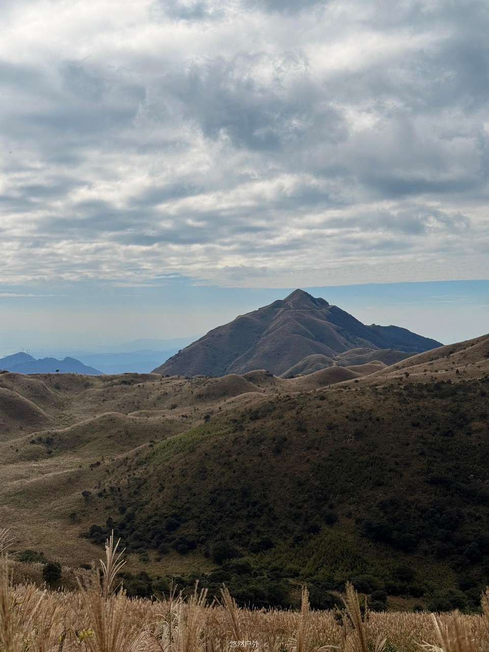 微信图片_20251208180216_105_4