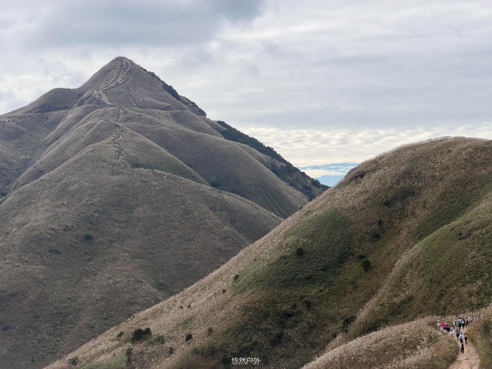 微信图片_20251208180218_106_4