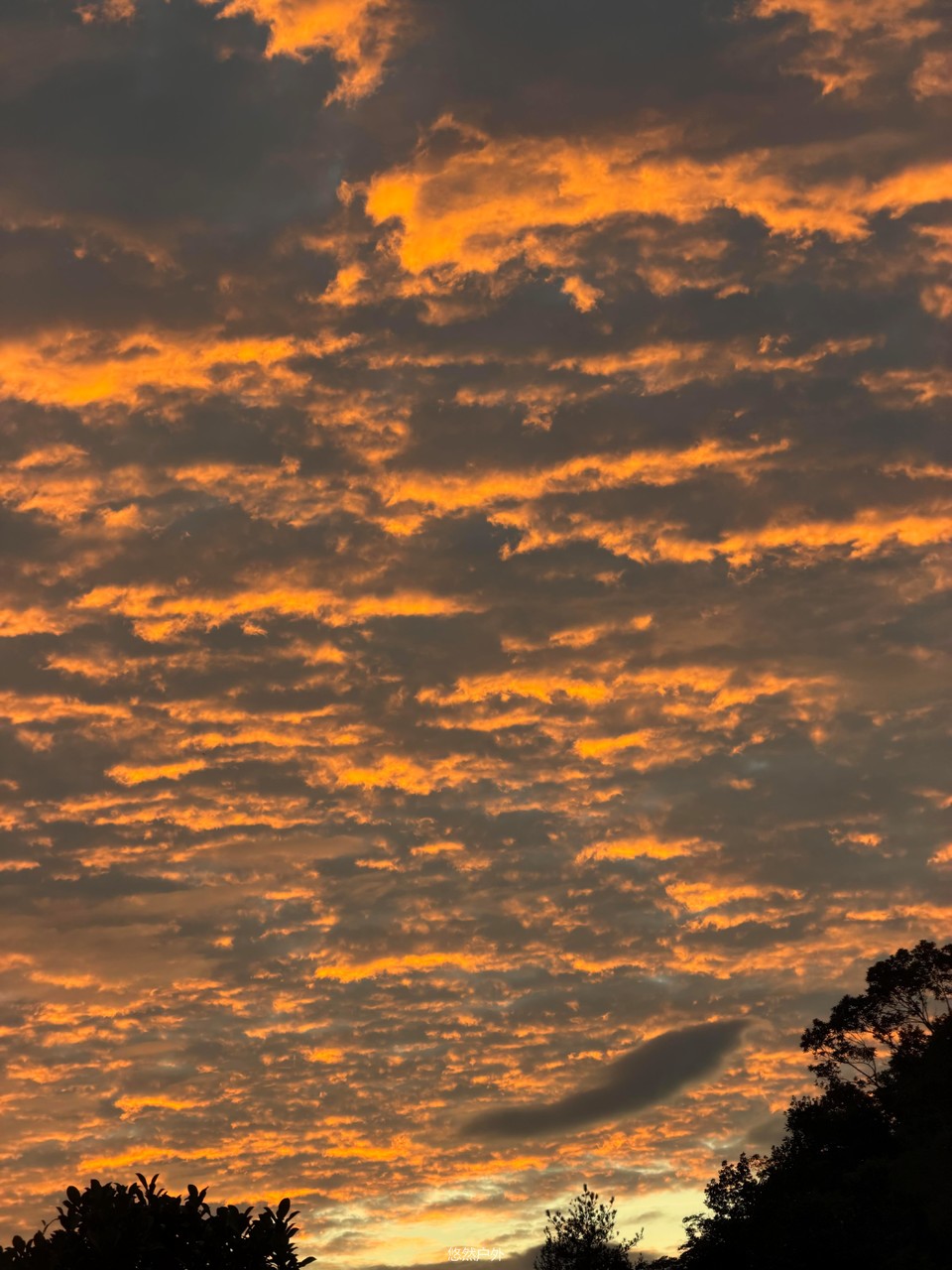 微信图片_20251208180221_109_4