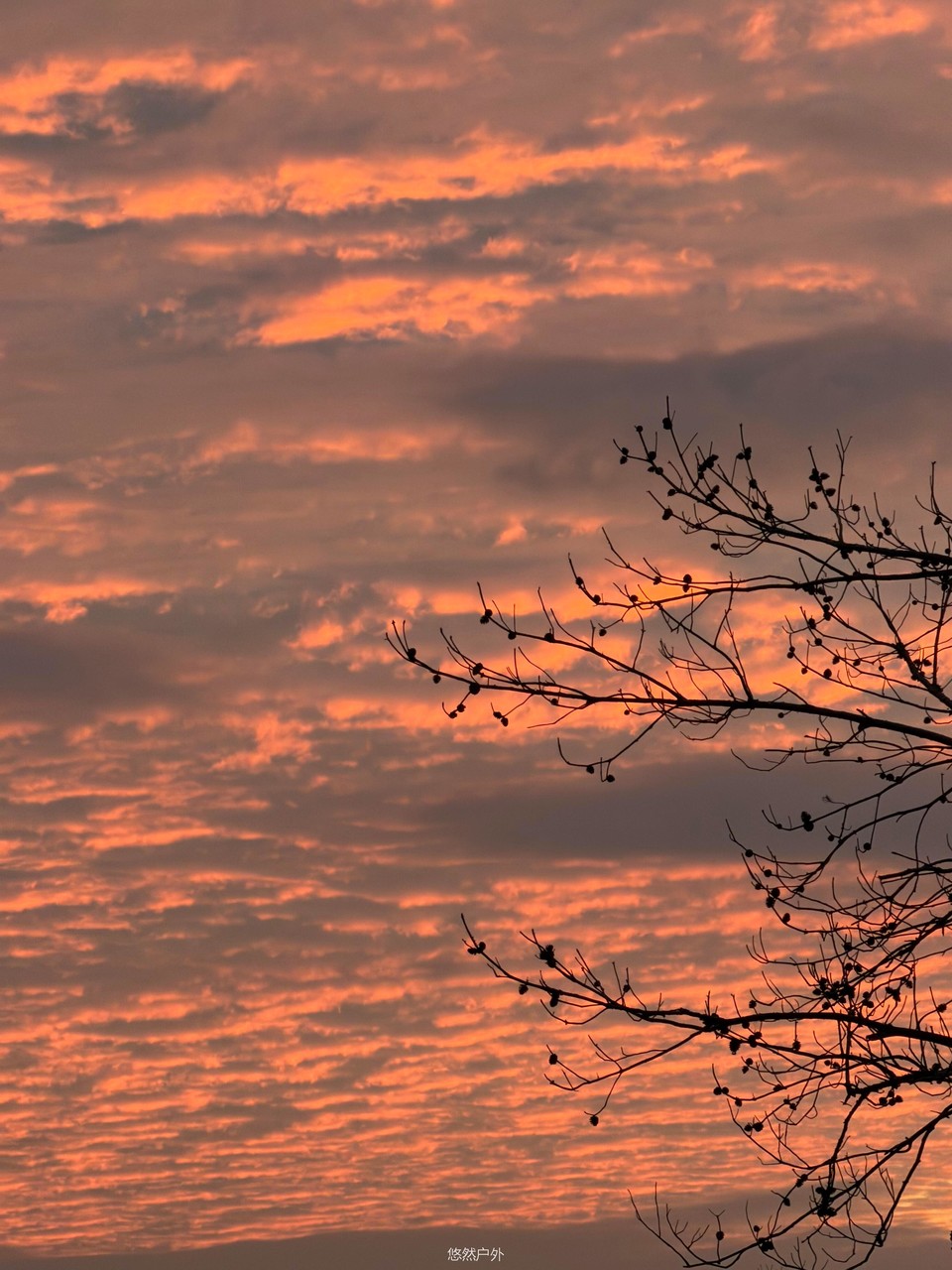 微信图片_20251208180222_110_4