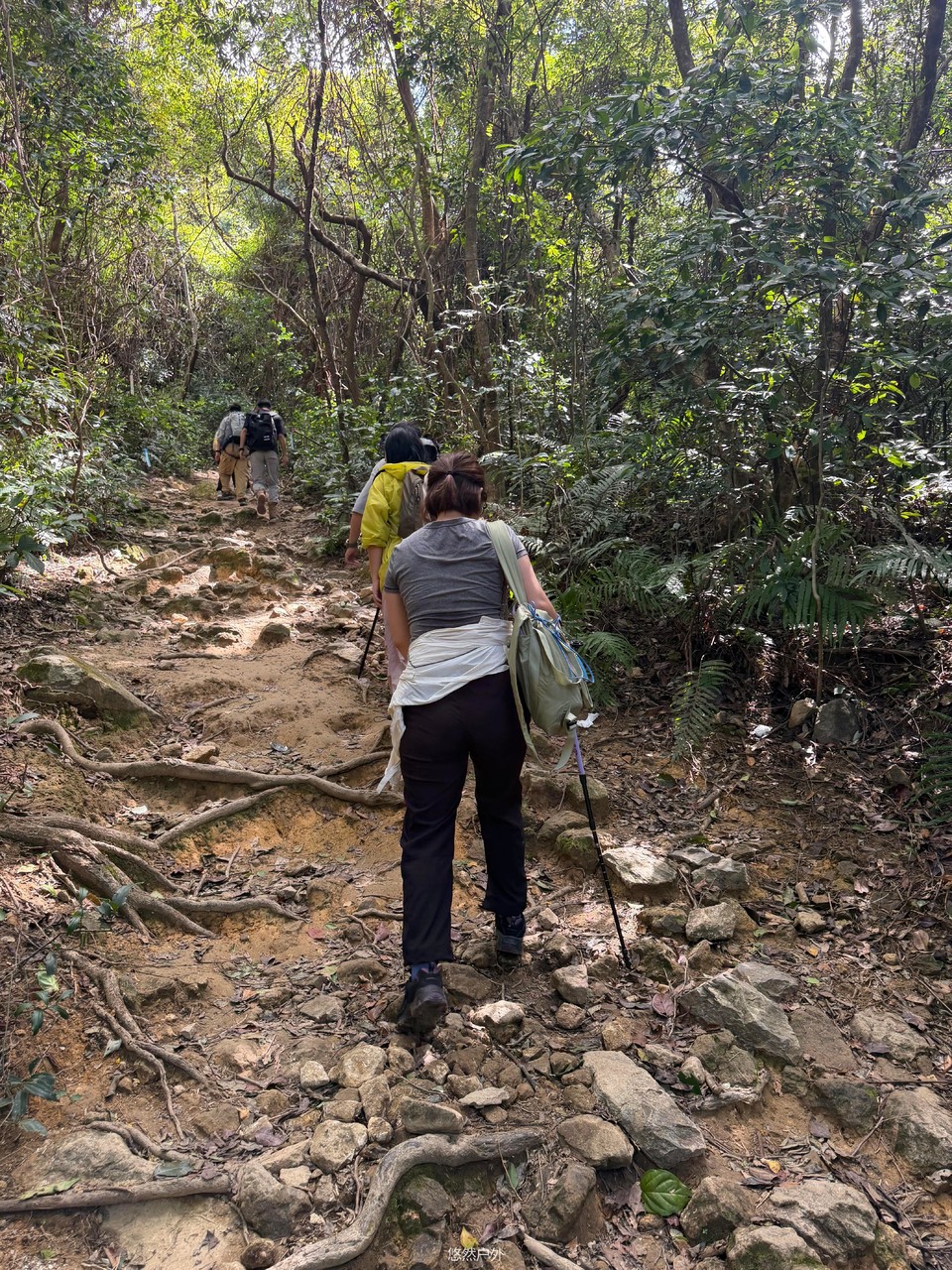 微信图片_20251208180233_113_4