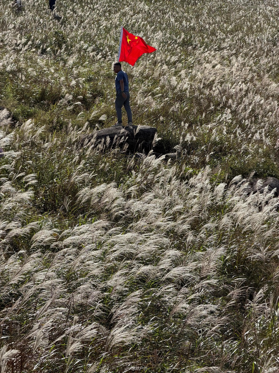 微信图片_20251208180235_114_4