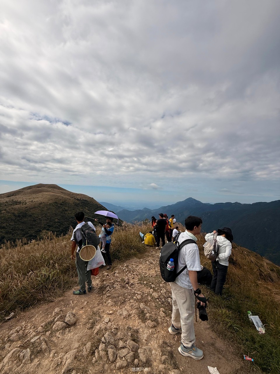 微信图片_20251208180236_115_4