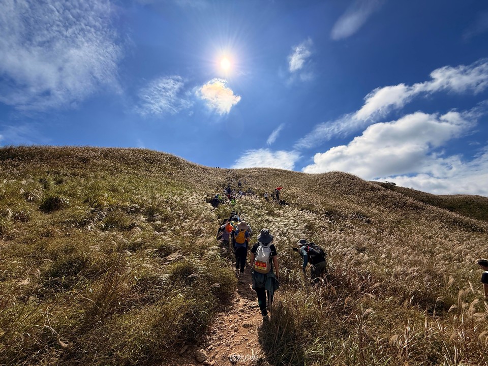 微信图片_20251208180238_117_4