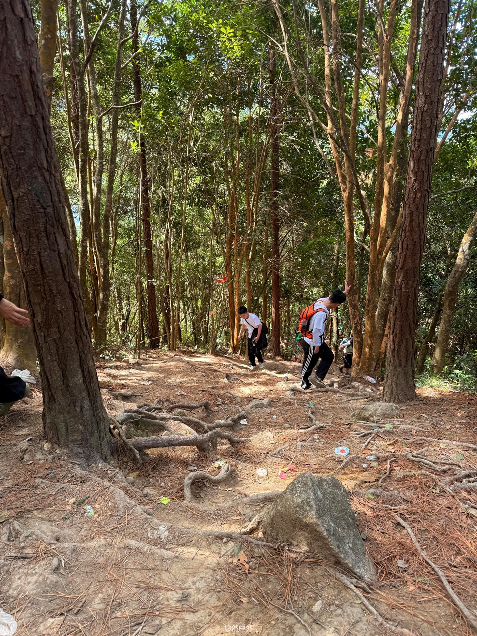 微信图片_20251208180251_124_4