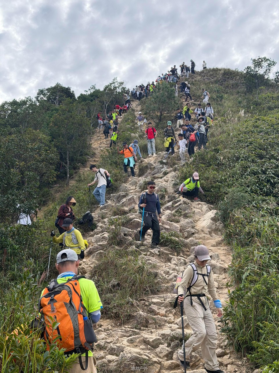 微信图片_20251208180257_129_4