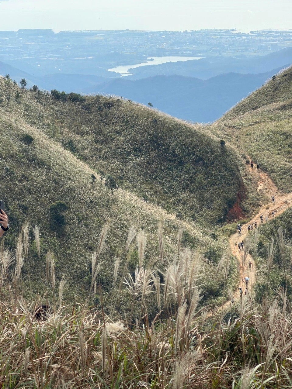 微信图片_20251208180307_135_4