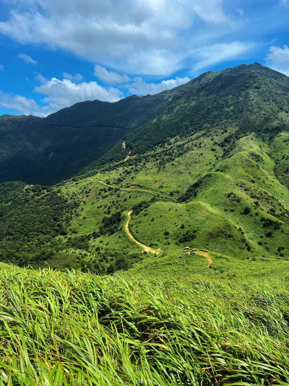 微信图片_20251208180311_138_4