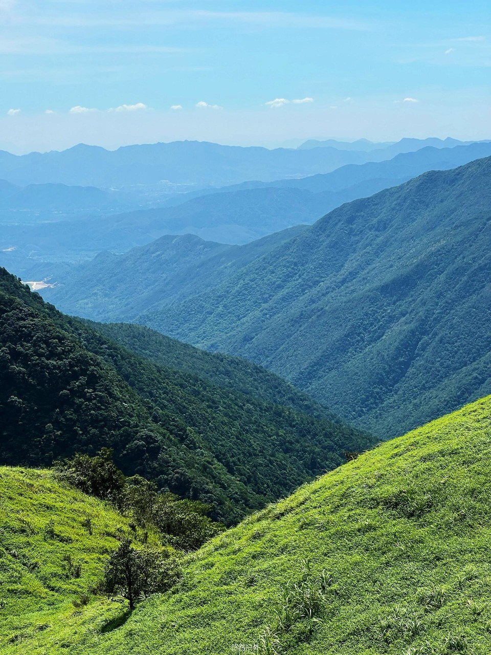 微信图片_20251208180312_139_4