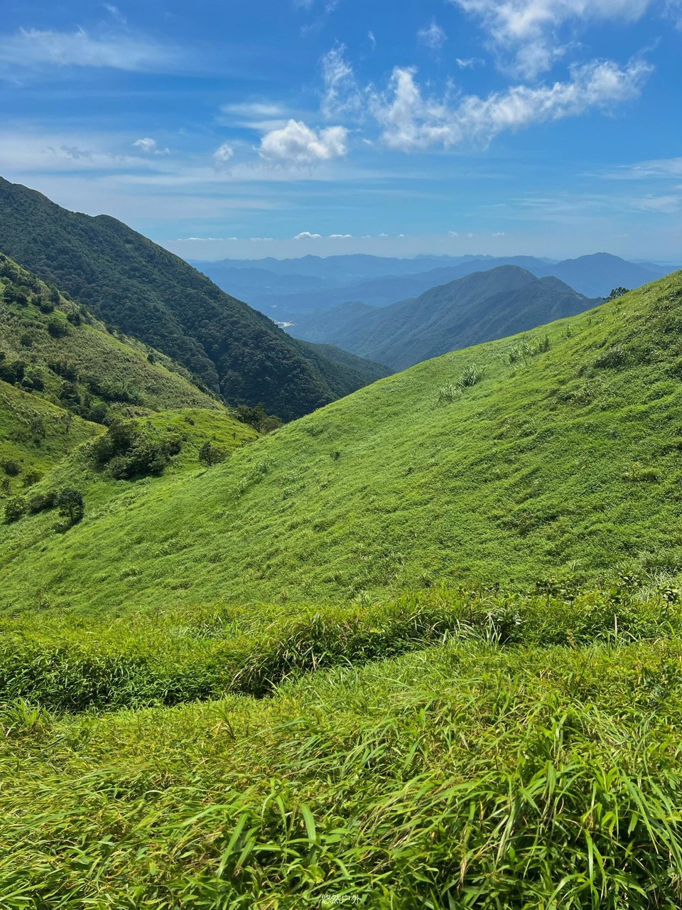 微信图片_20251208180318_142_4