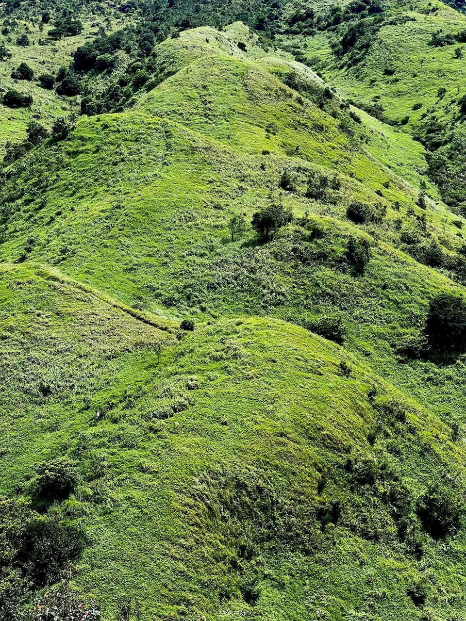 微信图片_20251208180319_143_4