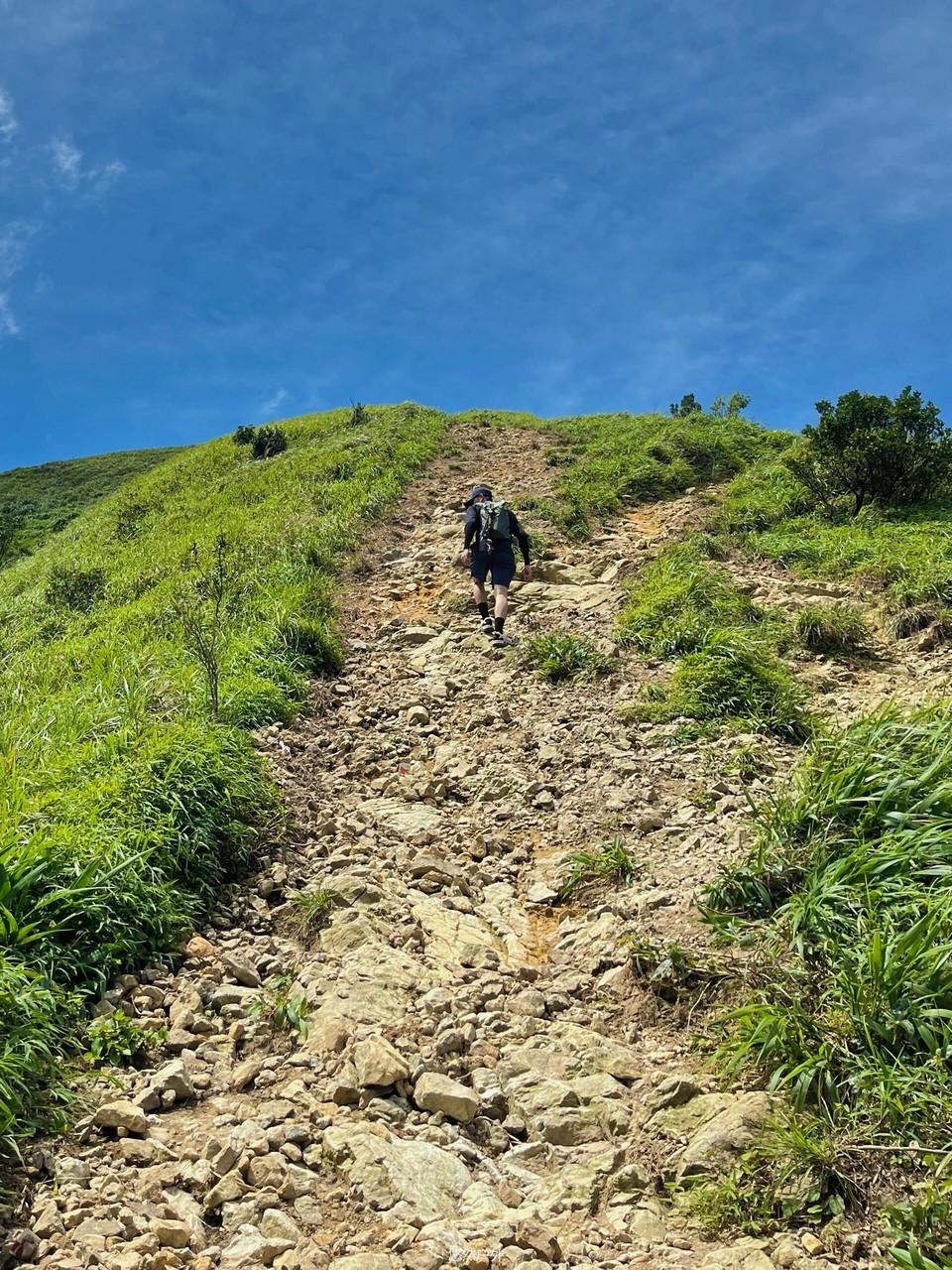 微信图片_20251208180321_144_4