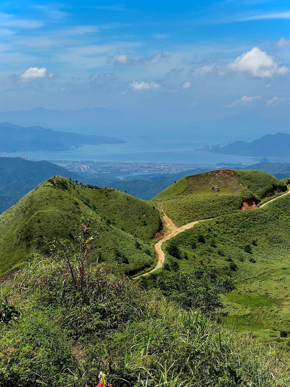 微信图片_20251208180323_146_4