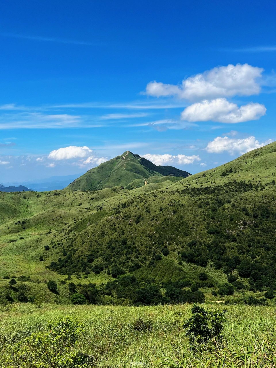 微信图片_20251208180324_147_4